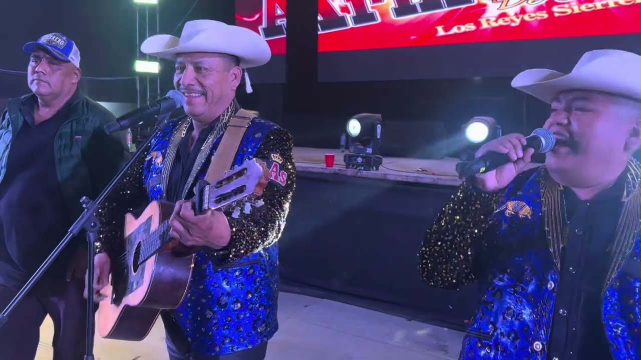 “ Luisa “ Armadillos De La Sierra