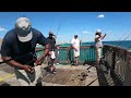 Sometimes it takes a whole team to catch a king mackerel at the pier