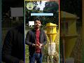 Insect trap #farming #agritech #agriculture #facts