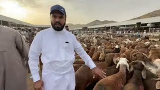 1st Vlog HAJJ 2023 Masjid ul Haram & Makkah Bakra mandi