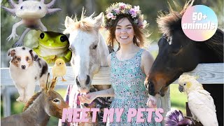 MEET MY ANIMALS (40+ pets)