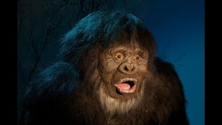 Hunting bigfoot, the most non creepy cryptid( sorry harambe)