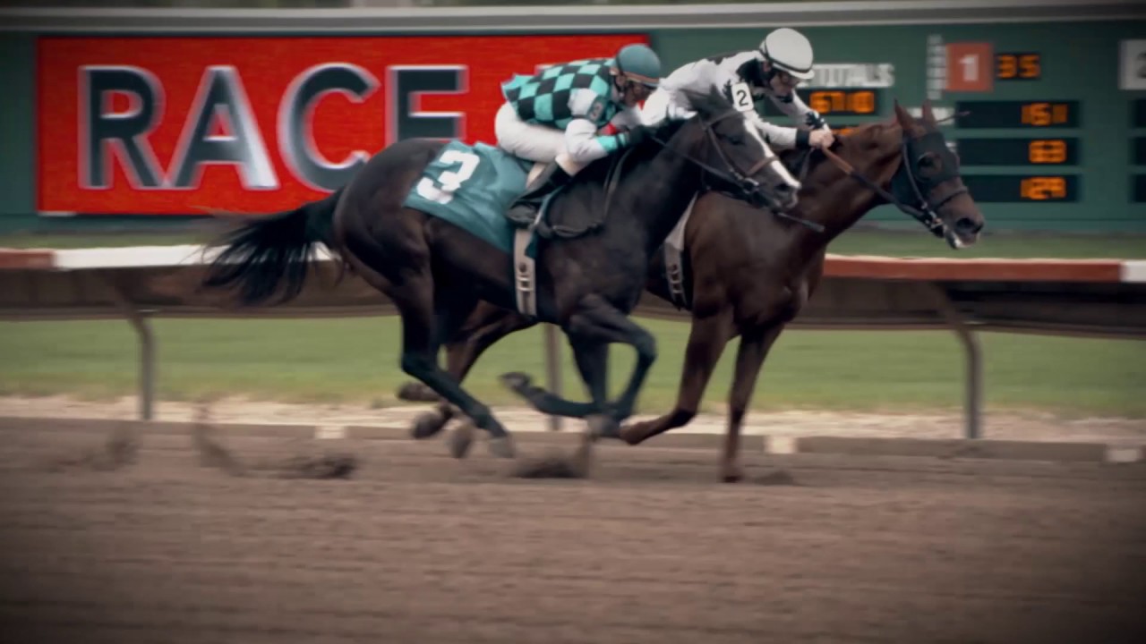 2017 Live Racing Returns! YouTube