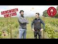 Discover Abingworth Vineyard | English Wine in the Heart of West Sussex | SCWF
