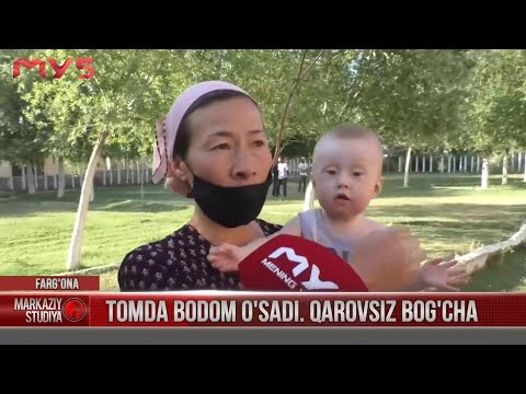 Tomda bodom o'sadi