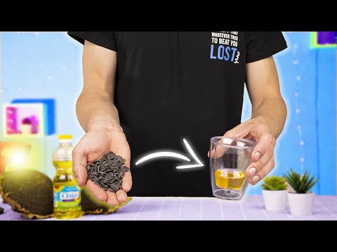 СКОЛЬКО МАСЛА ПОЛУЧИТСЯ ИЗ 1 КГ СЕМЕЧЕК ?