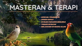 MASTERAN SPECIAL TEMBAKAN Lovebird VS Cigun & TERAPI SUASANA ALAM UNTUK MURAI, KACER, CUCAK IJO dll.