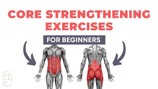 Beginner Core Strengthening Exercises | Pelvic Floor and Core Strengthening