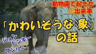 【感動する話 実話 動物】かわいそうな象の話【泣ける話】