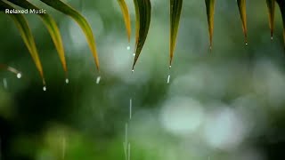 10 Hours Relaxing Sleep Music with Rain Sounds - Meditation Music, Stress Relief, Relaxing Music 2