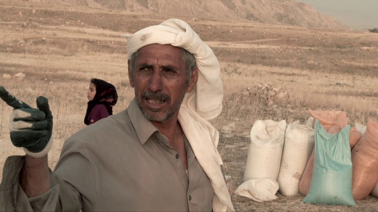 IN THE REALM OF THE SPIDER-TAILED VIPER (Trailer) filmtools