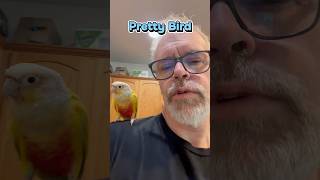 Pretty bird, starring Piko! 🦜 #birds #greencheekconure #parrots #booktube #birds #readers