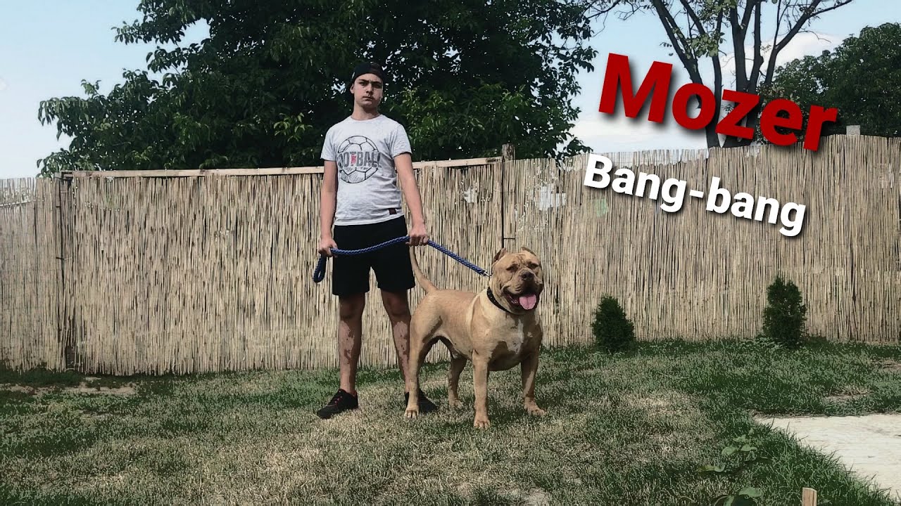 Mozer - Bang-bang (Official Music Video)