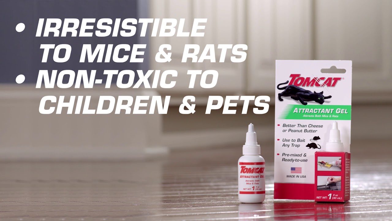 How to Bait Mice & Rats Using Tomcat® Attractant Gel 