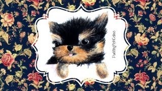 Yorkshire Terrier Puppy Watercolour Speed Paint