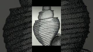 Information 🥇 🔱✨ Thousands of Dots, One Sacred Shankh | Stippling Art That Echoes Eternal Silence 🙏 Guide