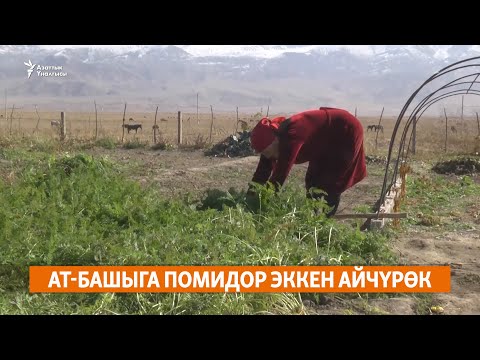 Video: Табигый айыл чарбасынын агротехникасы (APZ) - 1