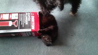 VID 20141217 123923