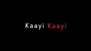 Kaayi - Lyrics | Baby Jean | Black Screen Malayalam Song Lyrics