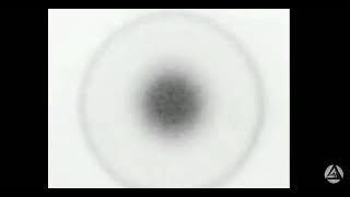 80351101821888