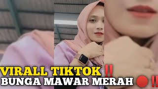 VIRALL TIKTOK‼️BUNGA MAWAR MERAH ‼️KUMPULAN TIKTOK VIRAL #tiktokviral #tiktokvideo