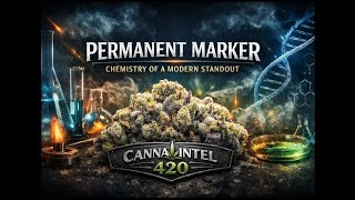 Permanent Marker, Chemistry of a Modern Standout