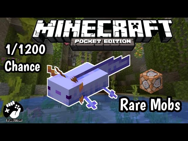 Cara Mendapatkan Axolotl Blue Dengan Mudah Command Block Minecraft Pe Youtube Cara Mendapatkan Axolotl Blue Dengan Mudah Command Block Minecraft Pe Youtube