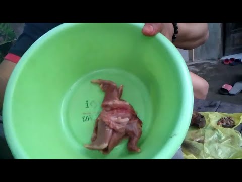 cara-memasak-tupai-agar-tidak-bau/tonton-sampe-habis