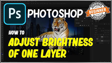 Photoshop How To Adjust Brightness Of One Layer For Beginner