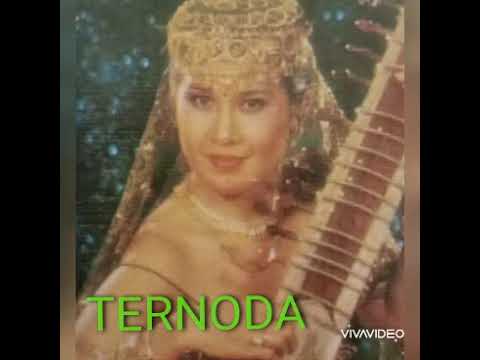 Elvy Sukaesih - Ternoda