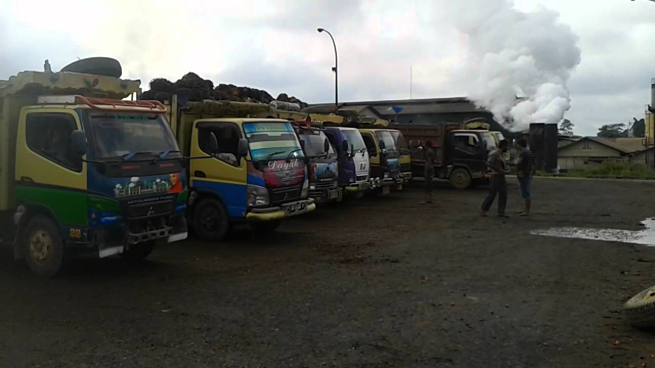 Gambar Mobil Canter Muatan Kelapa Sawit - Gambar Mobil Dan Motor Keren