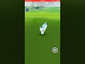 CAUGHT MY VERY FIRST REGIONAL PACHIRISU IN POKÉMON GO!
