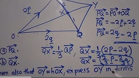2025 Maths P2 - FULL VECTORS || Intensive Revisions 