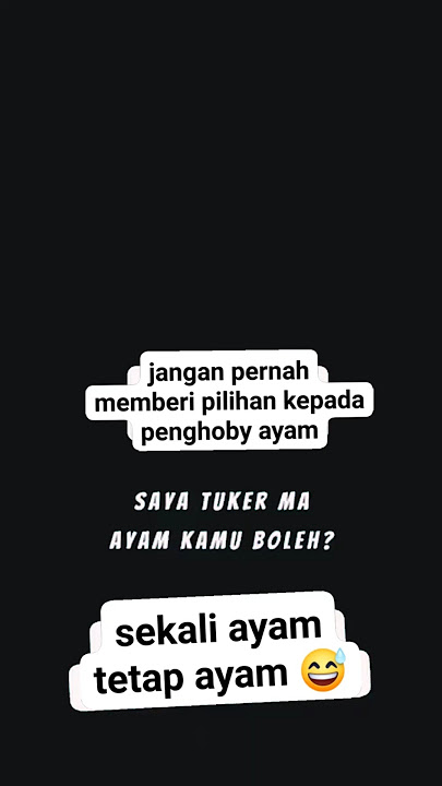 penghobi sejati #ayamaduanindonesia #ayamthailand #ayambangkok #ayamrawatan #fyp #antony  #shorts