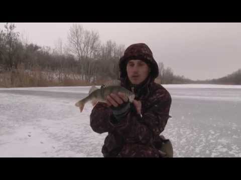 За Крупным Зимним Окунем. Мастер-класс 276 HD. For big perch with winter spoon-bait.