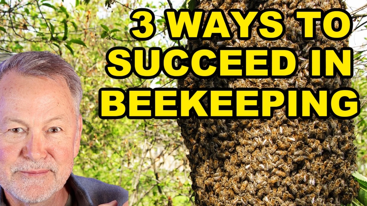 Beekeeping: Master Three Techniques For Better Results
