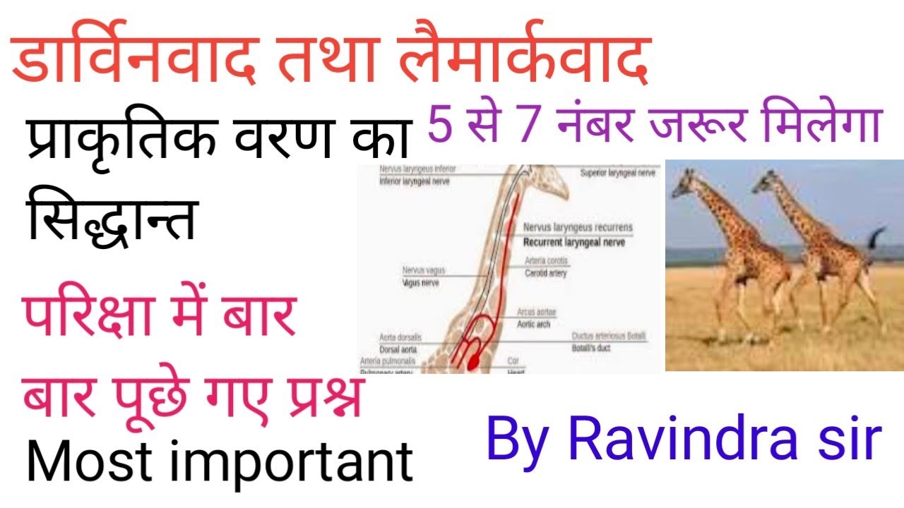 डार्विनवाद तथा लैमार्कवाद प्राकृतिक वरणवाद का सिद्धान्त Most most important video for all students।