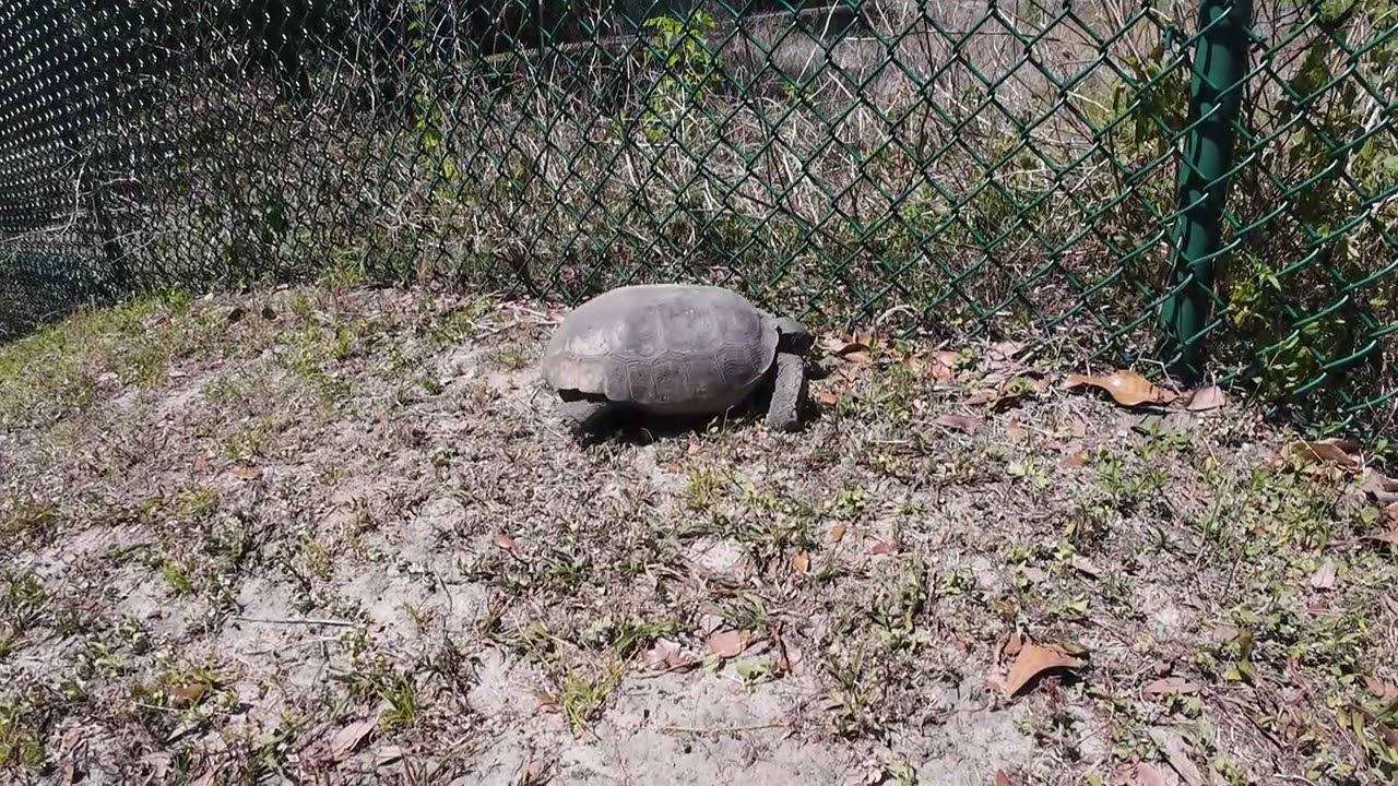 Adventures with Dave and Red - The Van Fleet Bike Trail - April 2025