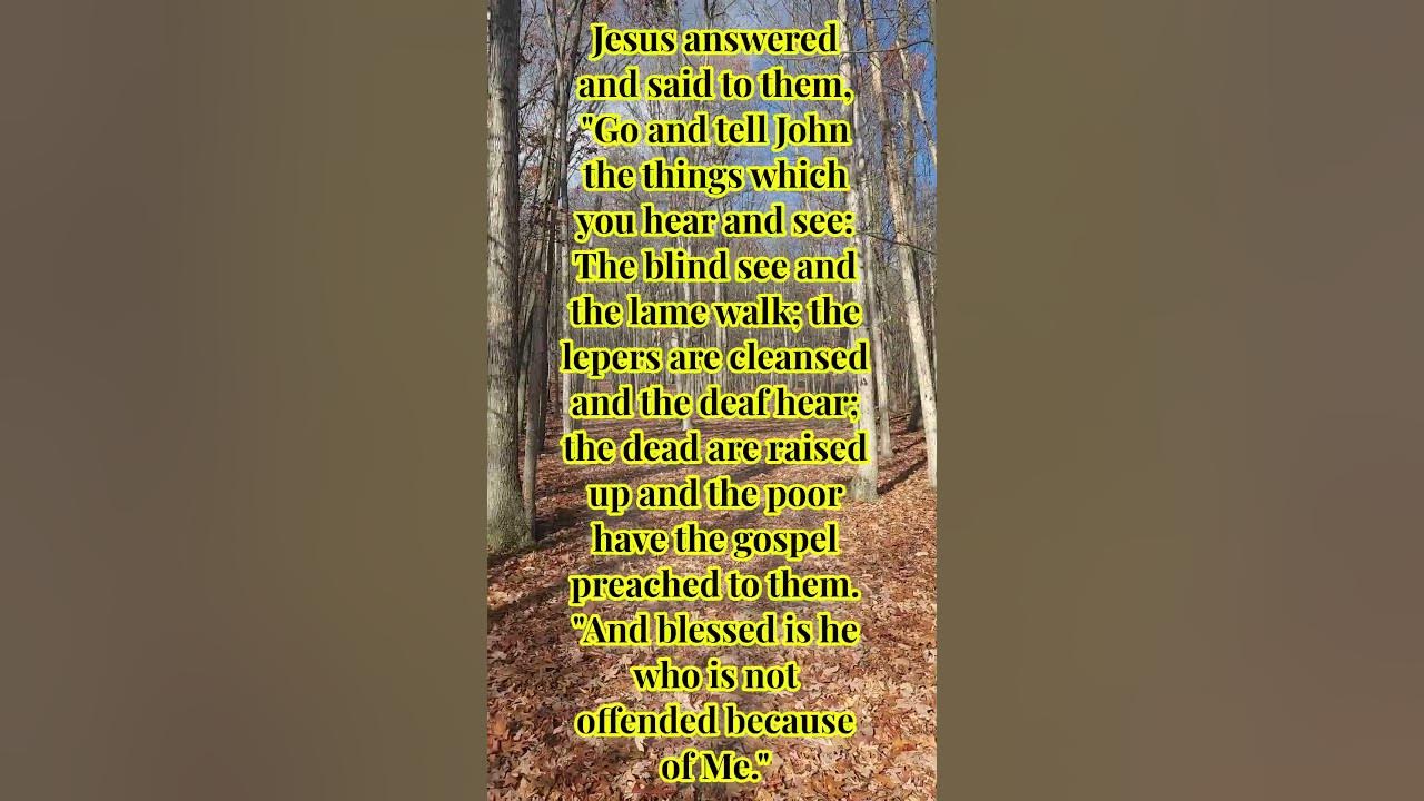 matthew-11-4-6-youtube
