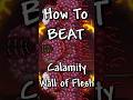 How to prepare for Wall of Flesh in the #calamity mod! #terraria #tmodloader
