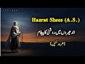 حضرت شیث علیہ السلام کی حیران کن زندگی Prophet Shees A S Story In Urdu Islamic History Series