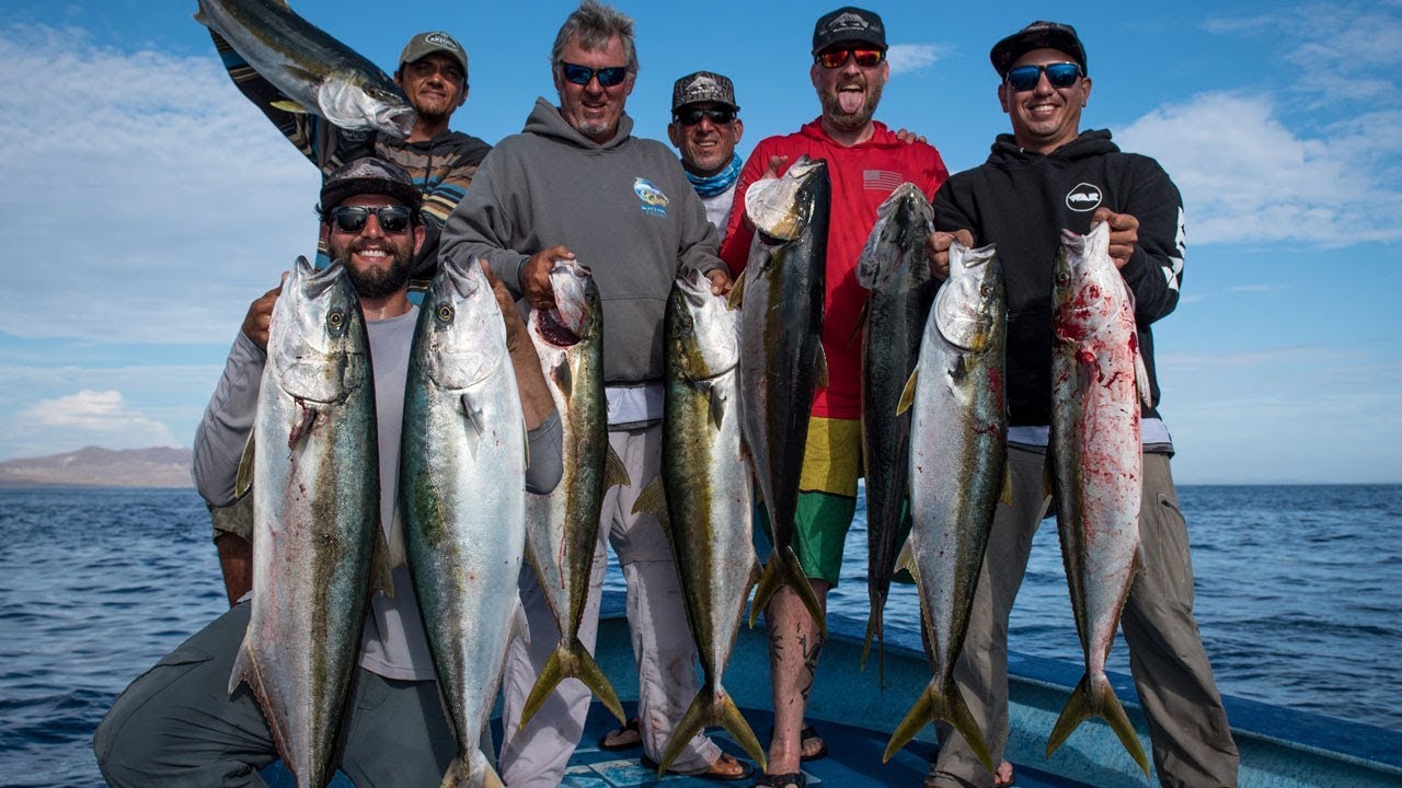 BENITOS ISLAND – Insane Yellowtail Foamer + Big Calico Bass – Day 3/4