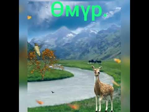 Кадырын билип жашайлы досум , бир жолу бизге берилген омур!☝️ - YouTube