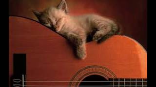 Bob Dylan - Cats In The Well - live Montreux 2001