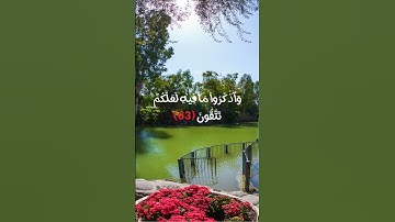 سورة البقرة #القرآن #سورة_البقرة #القرآن_الكريم #اكسبلور #تيك_توك #دويتو #لايك #duet