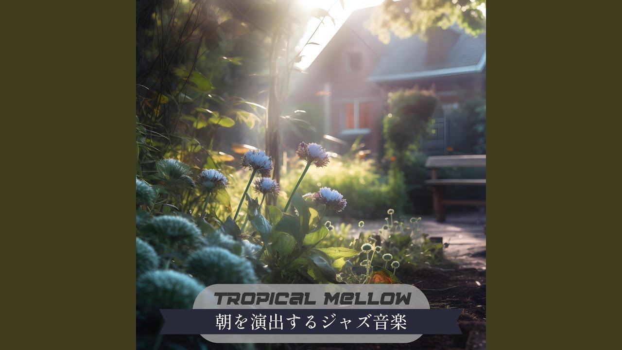 Coffee and Drip YouTube