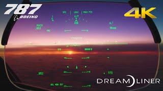 Boeing 787 Head-Up Display in detail