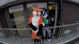 Confuzzled 2015 - A Wonderland Music Video
