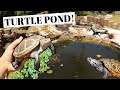 MASSIVE DIY Turtle Pond BUILD!! (for under $2k)