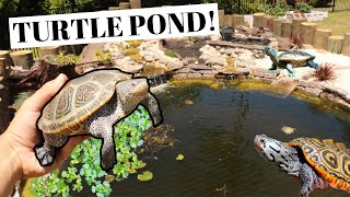 MASSIVE DIY Turtle Pond BUILD!! (for under $2k)